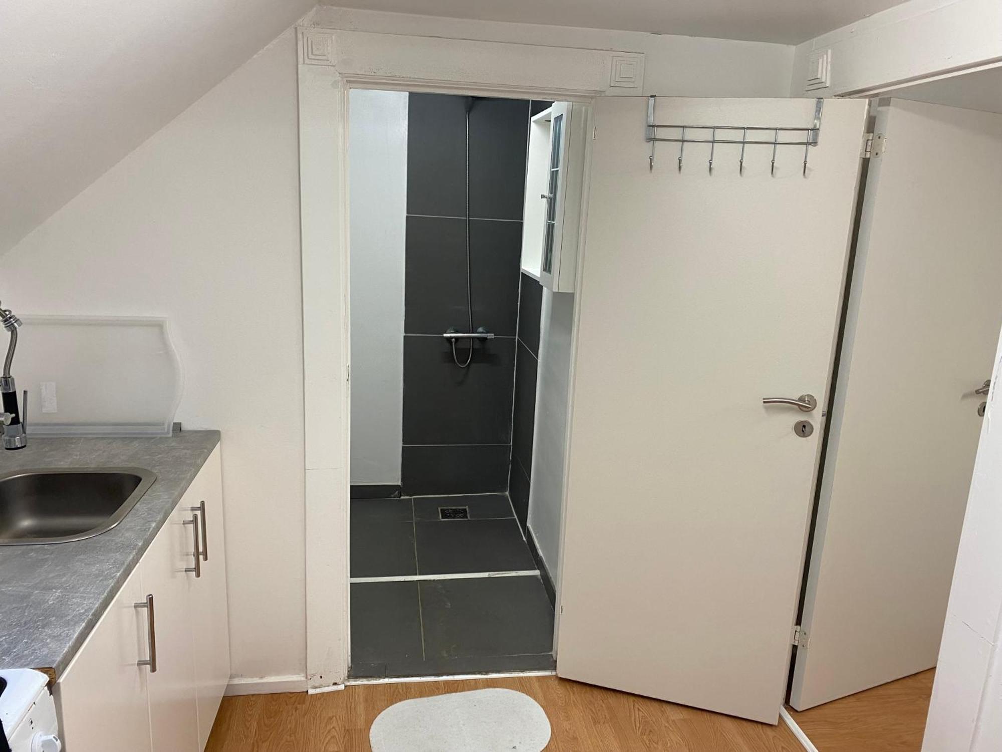 Billund Star Apartment Brande Exterior photo